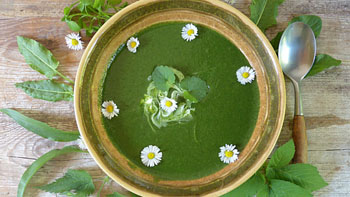 vitter herb soup
