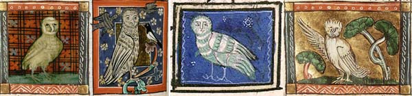 medieval owls