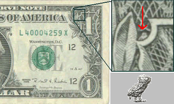 owl on dollar bill