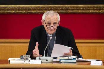 card matteo zucci